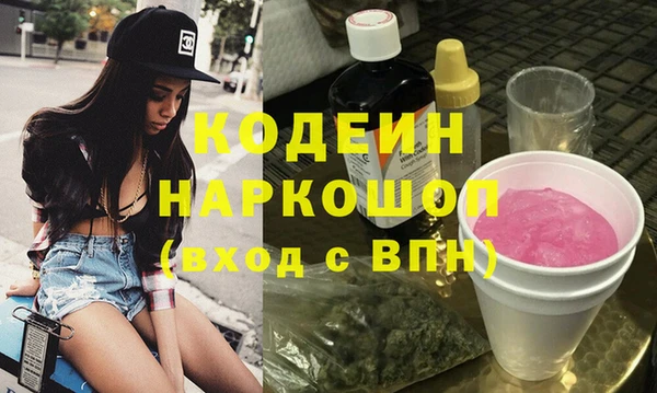 крисы Абаза