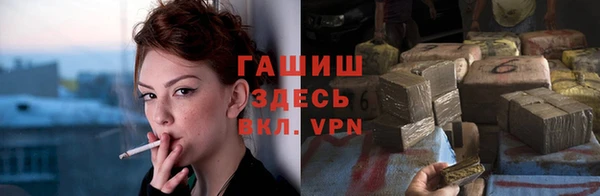 крисы Абаза
