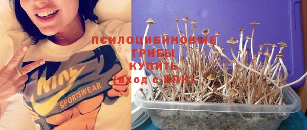 мяу мяу кристалл Алексин
