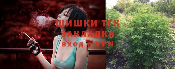 крисы Абаза