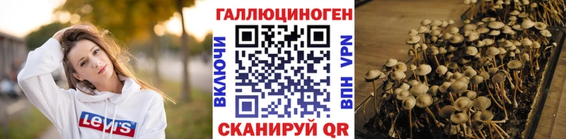 Галлюциногенные грибы Psilocybine cubensis  Кадников 