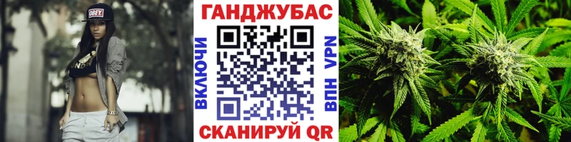 Бошки марихуана план  купить наркоту  Кадников 